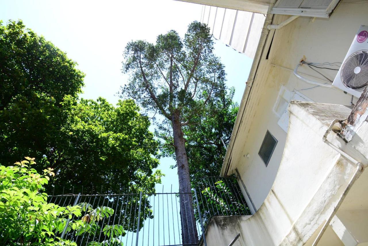 Cozy Flamengo - 3 Hospedes, Conforto E Privativo! Rio de Janeiro Eksteriør billede